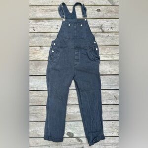 Free People We The Free Overalls
